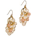 Imitation Pearl Cluster Earring ï]