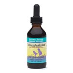 Herbs For Kids Echinacea/Golden Root/Orange Flavor @/^}-D`K (2oz)