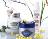 L'Occitane - 